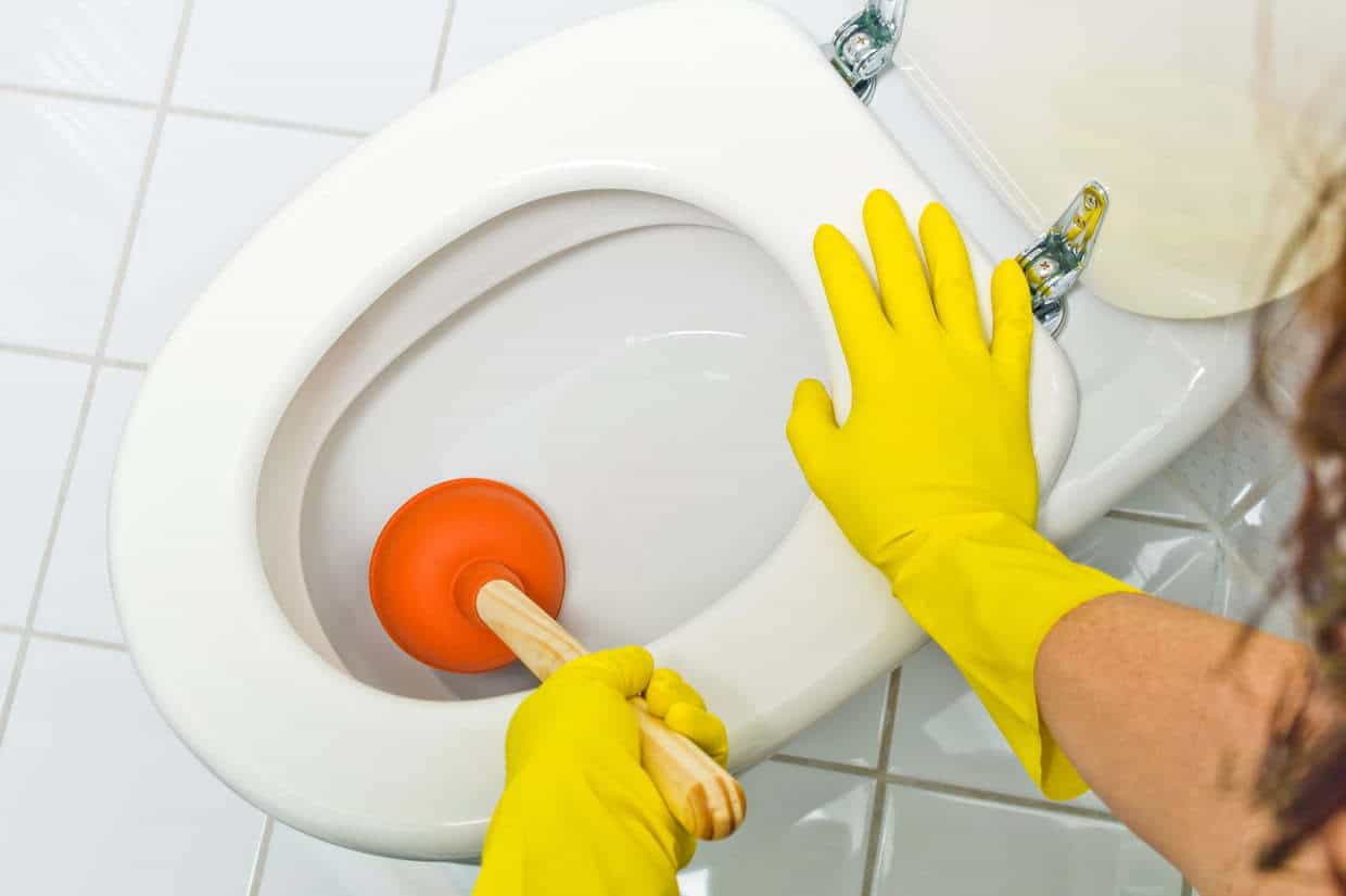 Salle De Bain Et Wc - Déboucheur À Ventouse Débouchage